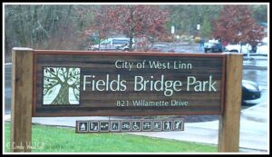 Fields-Bridge-Park